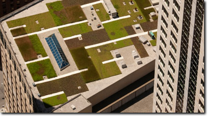 Roofing Contractors, Roofer Atlas-Apex Roofing - Green Roofing